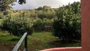 Un huerto con árboles frutales, un muro de piedra y una zona cubierta de césped.