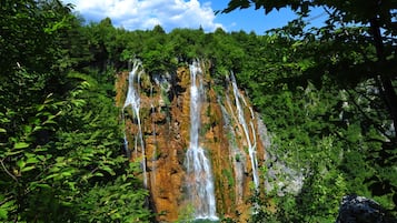 Ein Wasserfall, umgeben von dichtem Grün.