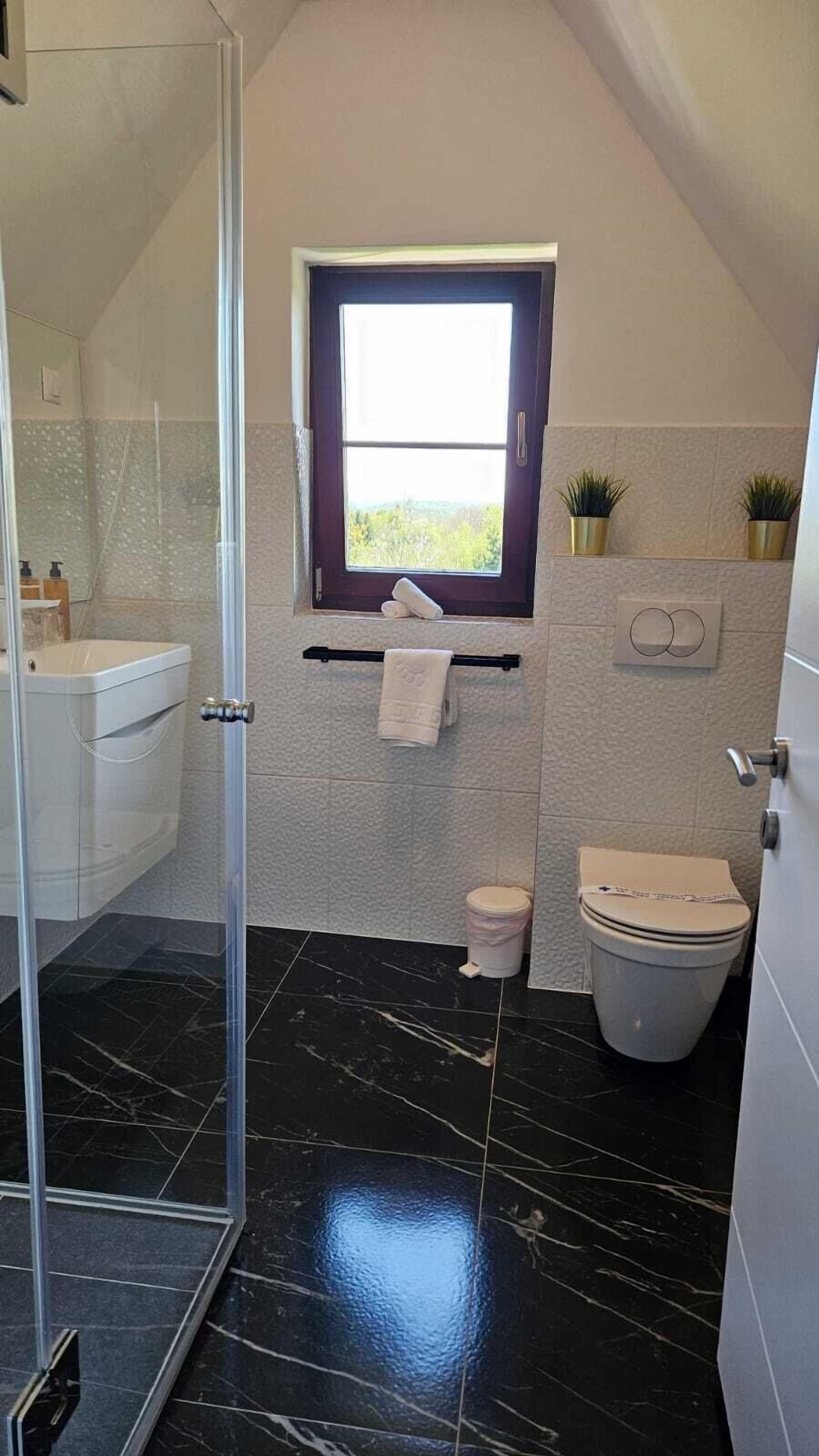 A bathroom with a shower, toilet, and sink, featuring a window and potted plants.