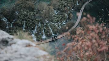 Un puente de madera curvo sobre un cuerpo de agua, con terreno rocoso y árboles.