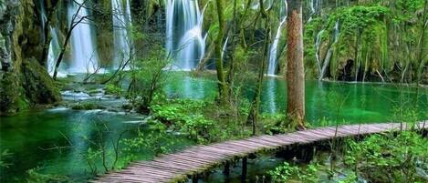 A wooden bridge over a clear green stream with multiple waterfalls in a forested area.
