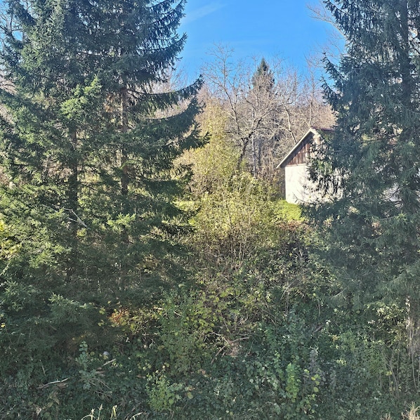 Studio Deluxe King Size Bed | View from room