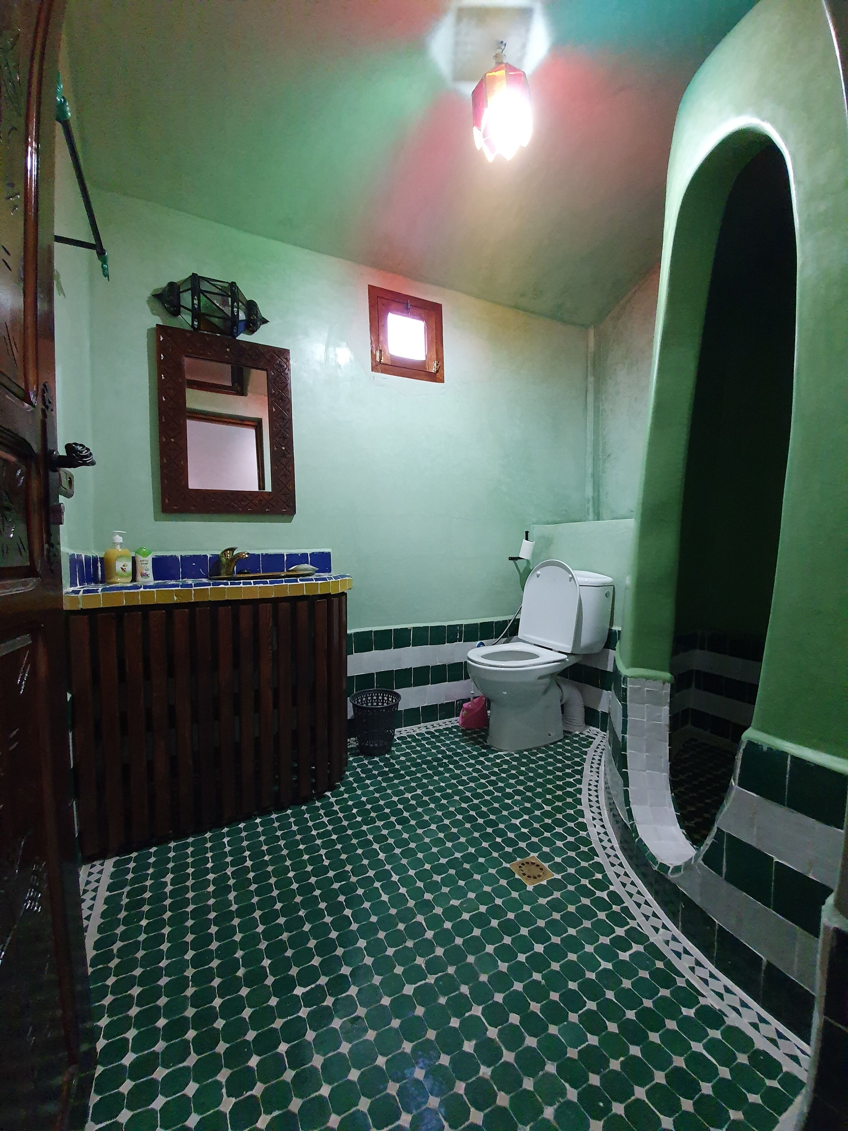 Secadora de cabello, shampoo, papel de baño 