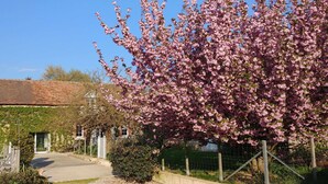 Un edificio de ladrillo con un corredor cubierto y un gran árbol en flor al frente.