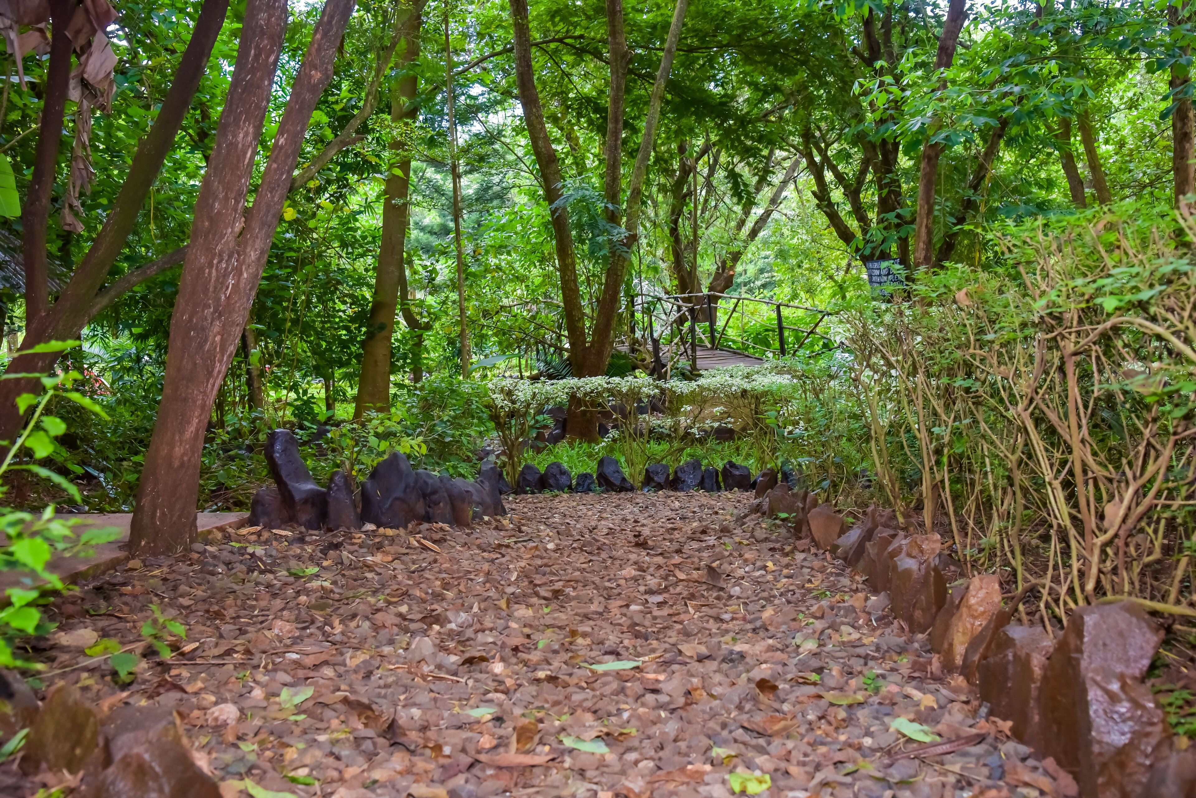 Jardin