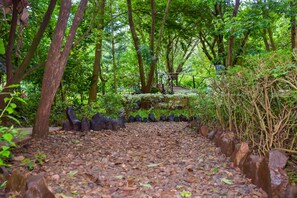 Jardí