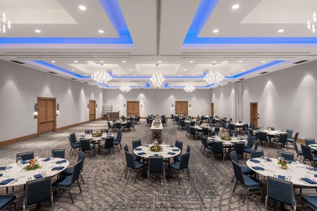 The Celeste Hotel, Orlando, a Tribute Portfolio Hotel - Image 8