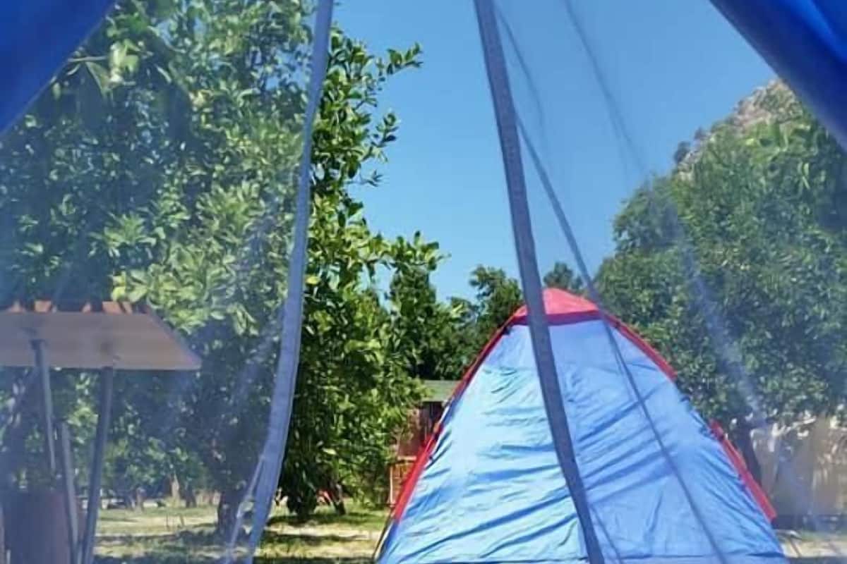 Standard Tent | 1 bedroom