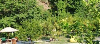 Jungle Camping Dalyan