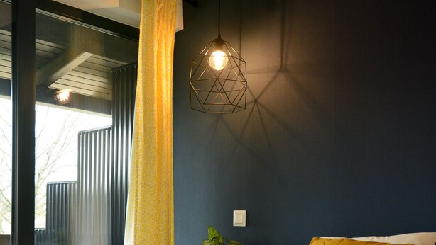 A modern bedroom with a large bed, a potted plant, and a geometric light fixture. - Ludwig Hotel (Martonvásár)