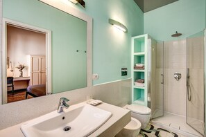 Shower, hair dryer, bidet, towels