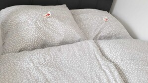 Un lit avec une couette et des oreillers à motifs, une tête de lit sombre et un mur blanc.