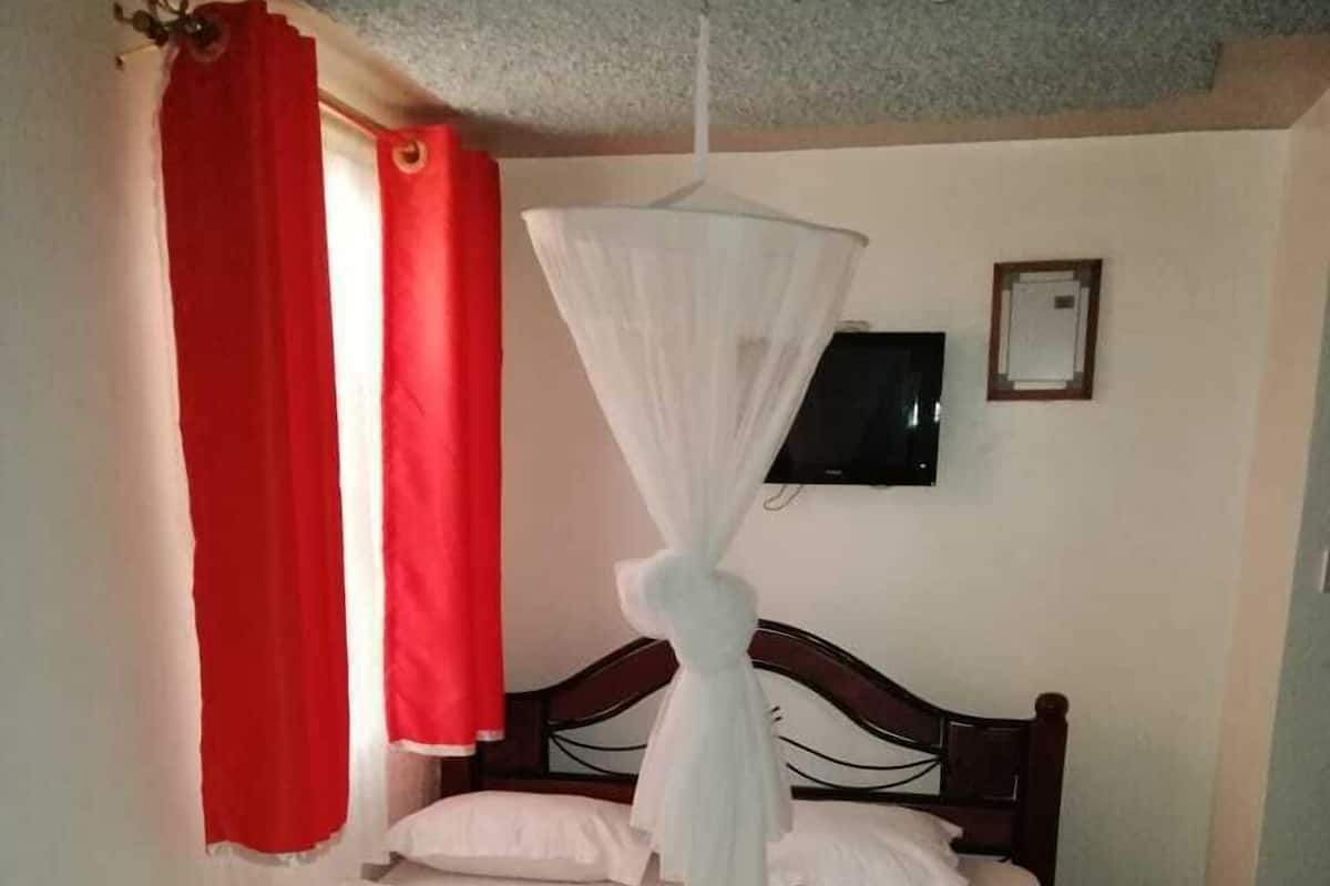 Una cama individual con dosel, cortinas rojas, un televisor en la pared y un suelo estampado.