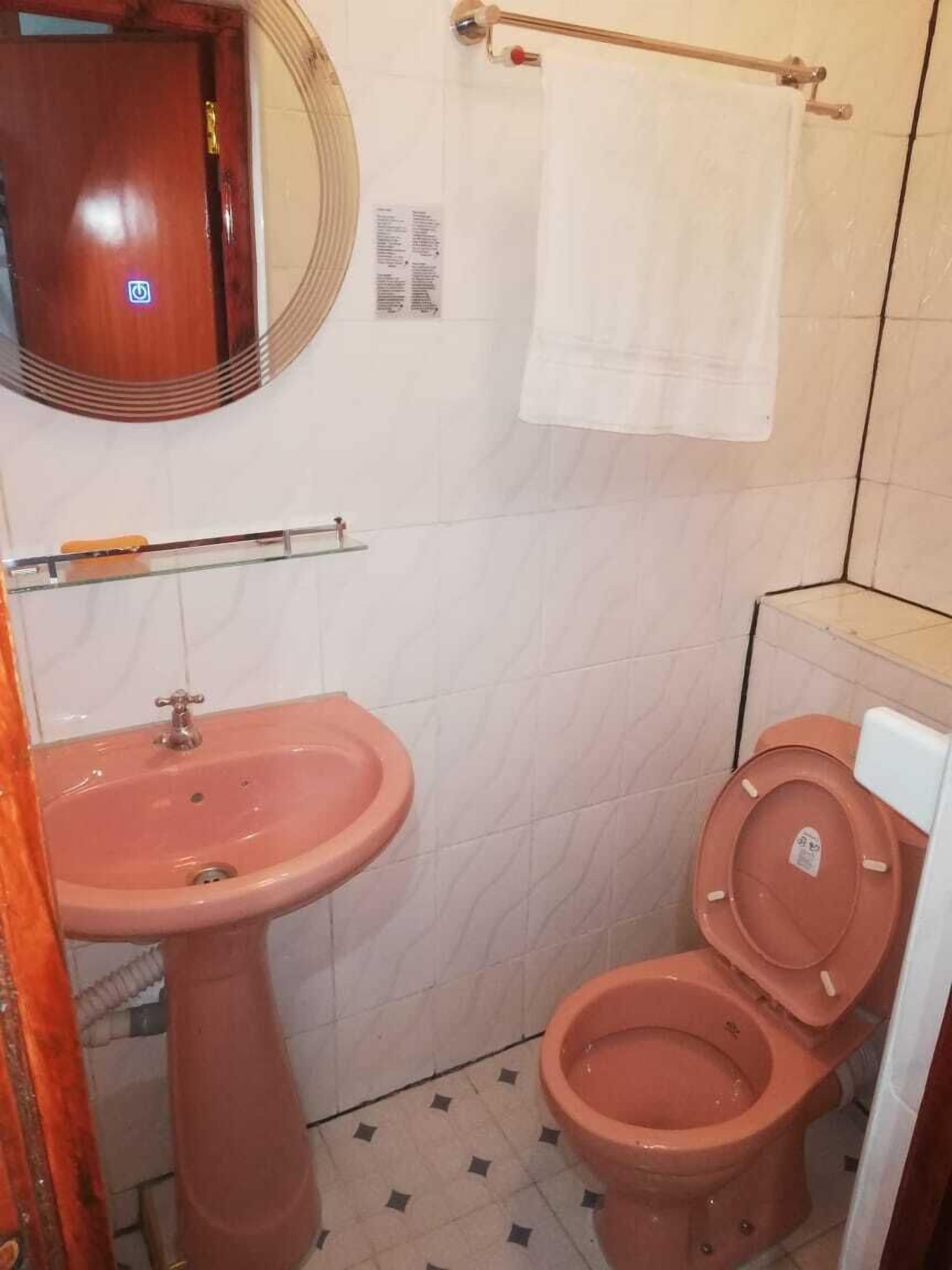 A small bathroom with a pink sink, a toilet, and a mirror above the sink.