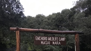 Een houten bord met de tekst 'ENCHORO WILDLIFE CAMP MASAI MARA'.
