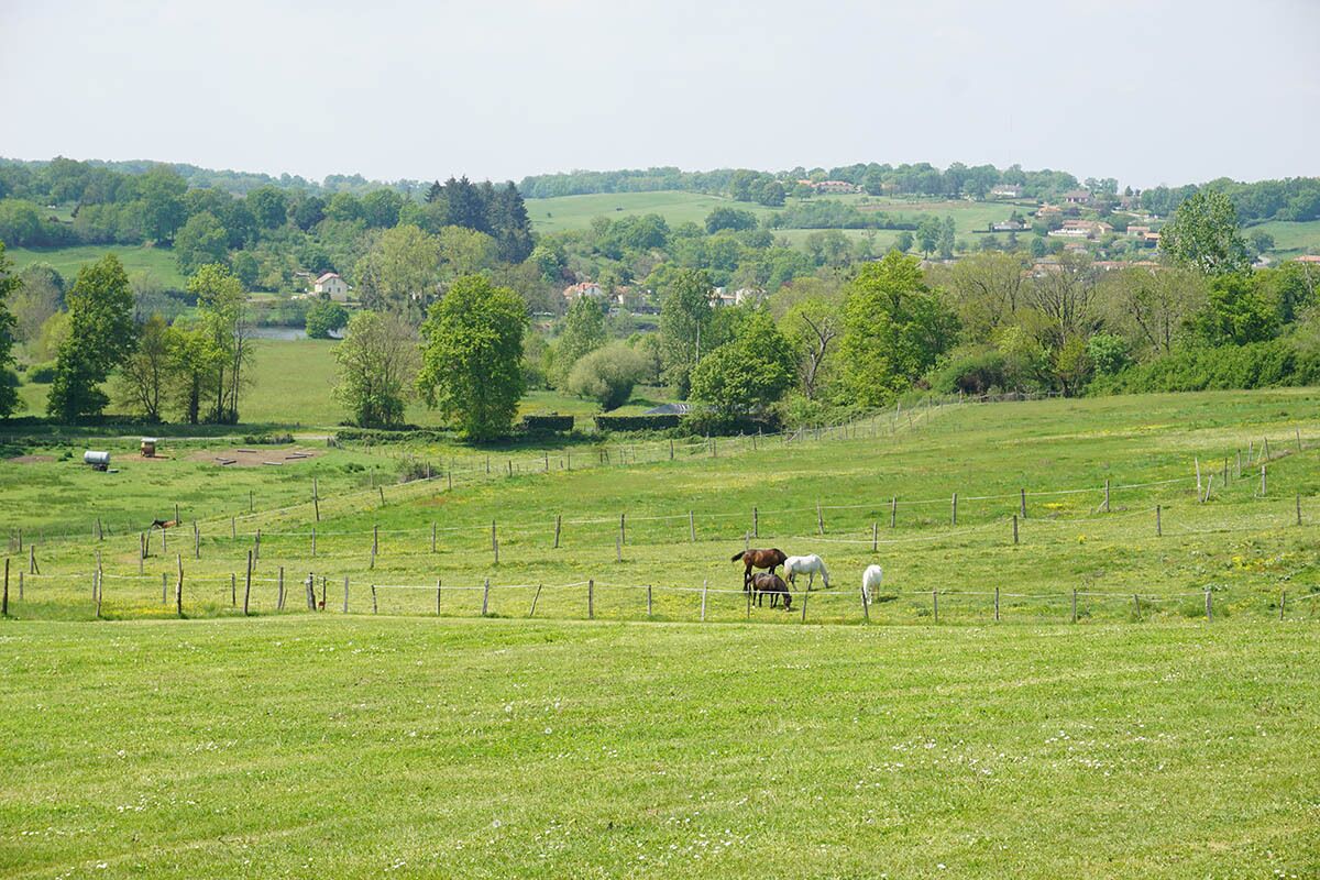 A rural landscape with a fenced field, trees, and a distant village.