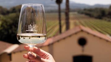 豪華雙人房 | 露台/庭院