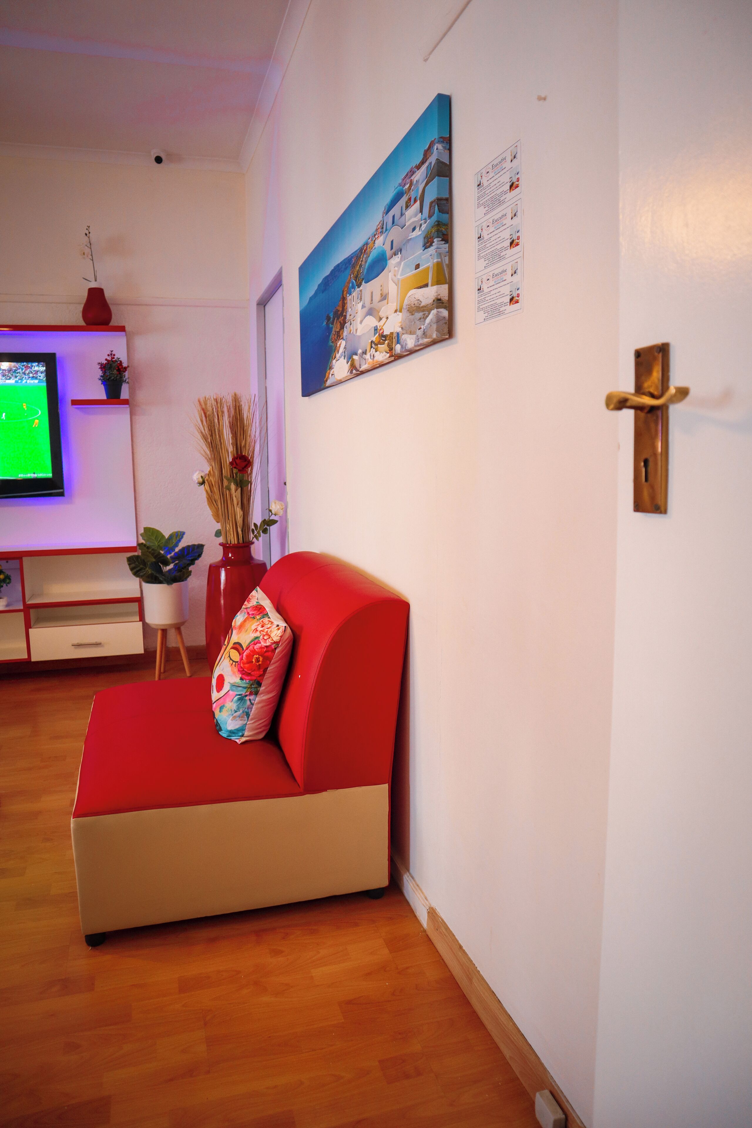 Una sala de estar moderna con un sofá rojo, un televisor de pantalla plana, un jarrón con plantas secas y un cuadro en la pared.
