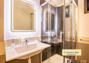 Shower, hair dryer, bidet, towels