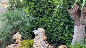 A garden with various plants, including a palm tree, a cactus, and a potted plant with green foliage. - HOLIDAY HOME "U SCRUSCIU RO MARI" (Avola)