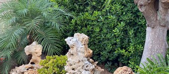 HOLIDAY HOME "U SCRUSCIU RO MARI"