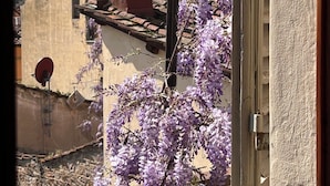 A building with a tiled roof, a satellite dish, and purple flowering vines. - DUOMO, MEDIEVAL TOWER Florence: SANTA CROCE in the DONATI TOWER 4th floor w/lift (Firenze)