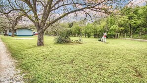 A grassy yard with a large tree, a small building, and a fenced area. - RR 9084BC Bluebonnet Cabin (New Braunfels)