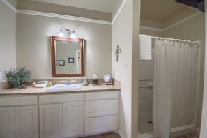 Combined shower/tub, hair dryer