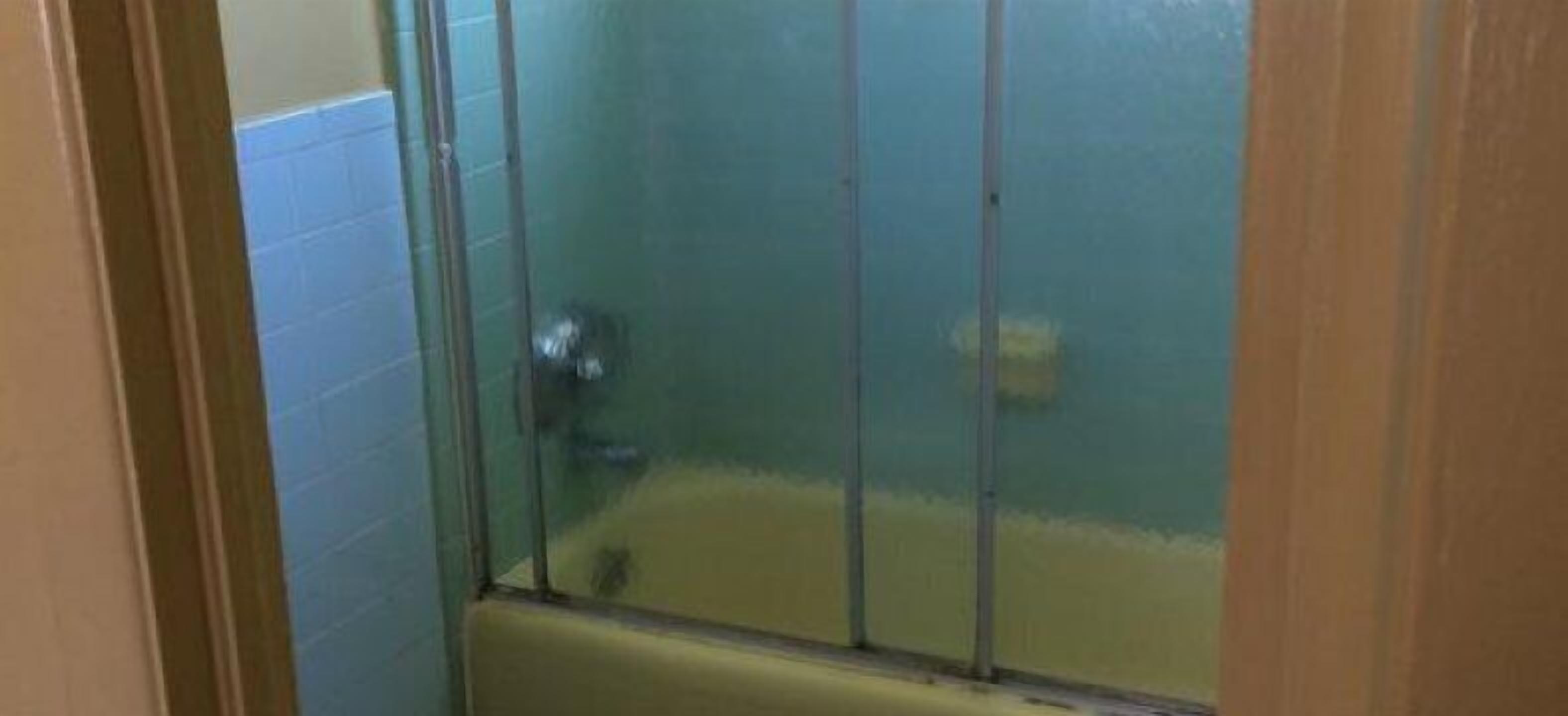 Bathroom shower