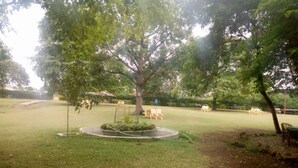 A park with a large tree, a circular garden bed, and a grassy area with benches. - Homa Bay Tourist Hotel (Homa Bay)