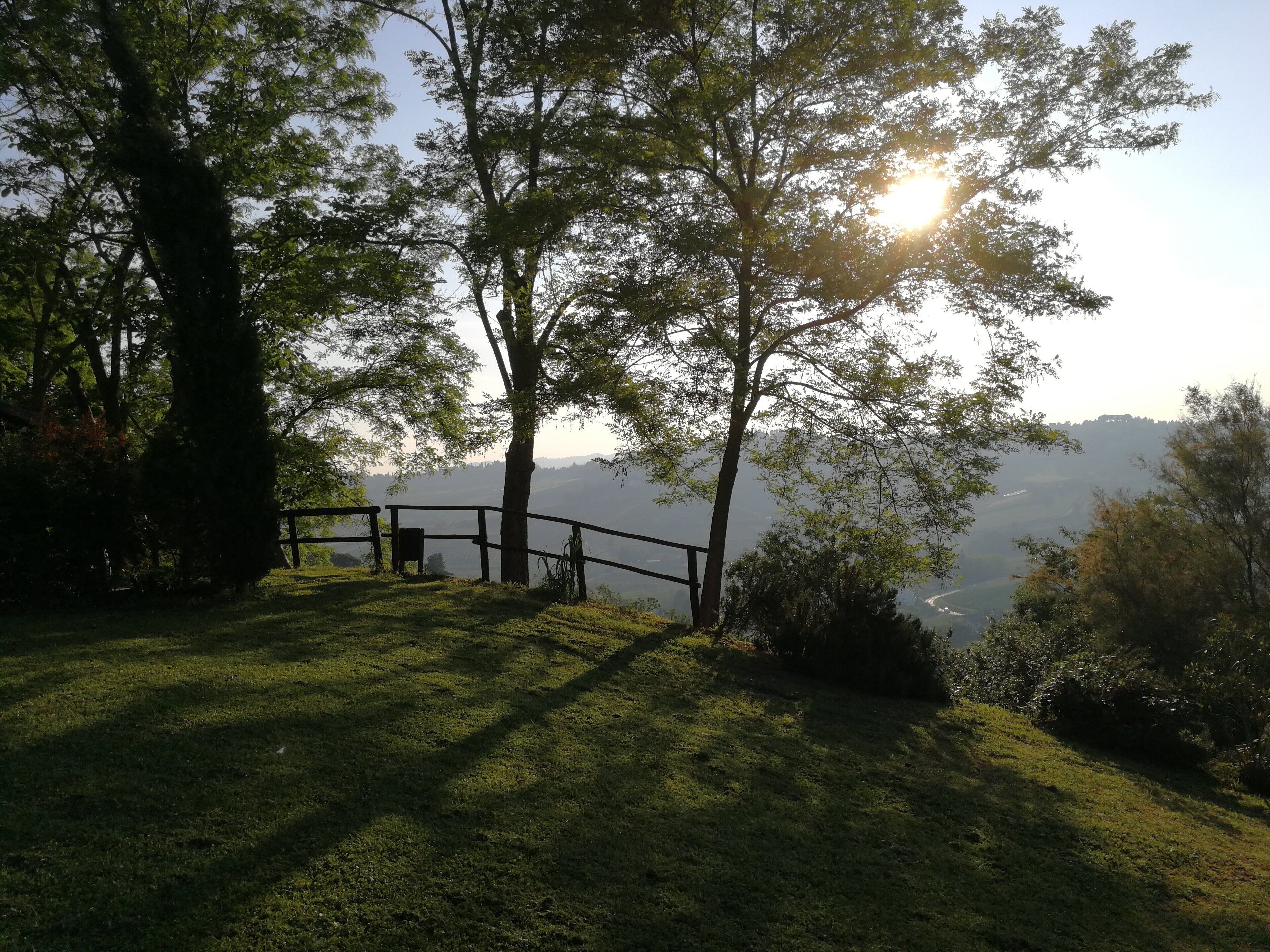 A grassy area with a wooden fence and trees, overlooking a valley.