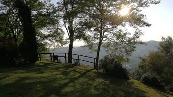 A grassy area with a wooden fence and trees, overlooking a valley.
