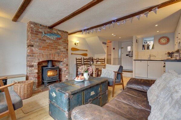 TV, fireplace, books
