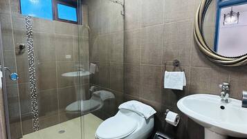 A modern bathroom with a glass-enclosed shower, a toilet, a sink, and a mirror.