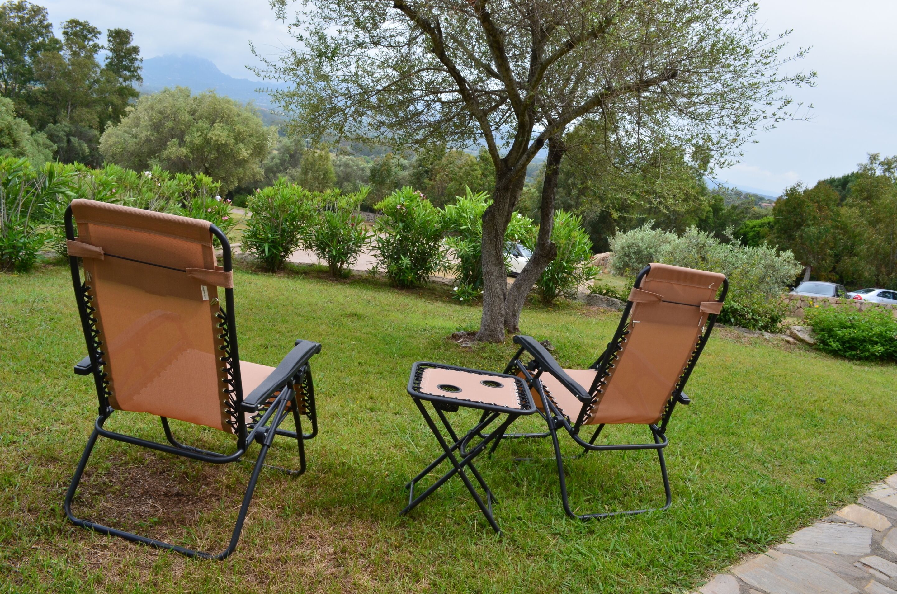 Dos sillas plegables con asientos y respaldos de cuero, ubicadas sobre un césped con un árbol y un sendero de piedra al fondo.
