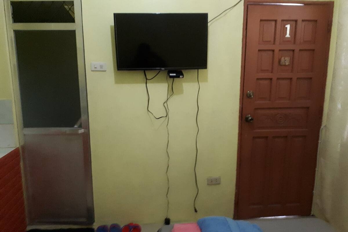 Television
