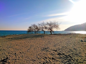 Une plage parsemée d’empreintes et bordée d’arbres sans feuilles, un ciel dégagé et une colline lointaine.