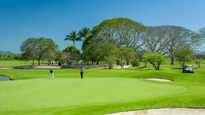 Un parcours de golf avec des bunkers de sable, des arbres et un ciel dégagé.