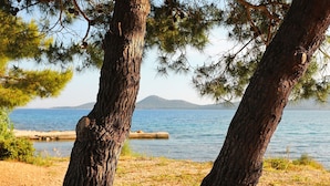 A coastal landscape with pine trees and a clear view of the sea and distant mountains.