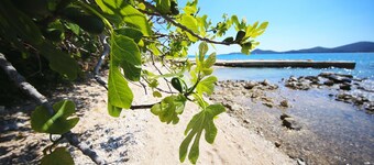 Mobile Home Plumeria 1