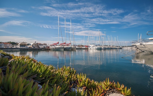 City view from property