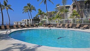A pool area with lounge chairs and palm trees, surrounded by a building with a view of the ocean. - 🌴 Perfect Island getaway | AC | Ocean View | AV #124🌴 (Kailua Kona)