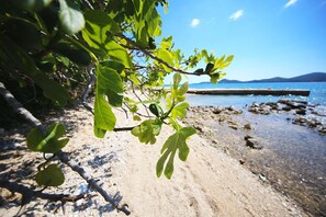 Beach nearby - Mobile Home Frangipani 4 (Biograd na Moru)