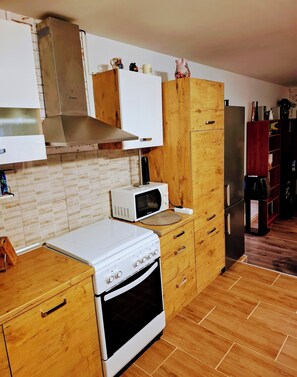 Apartment (A1) | Eigene Küche | Kühlschrank, Mikrowelle, Herdplatte, Wasserkocher mit Kaffee-/Teezubehör