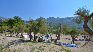 Ein Strand mit Zelten und Bäumen, ein klarer Himmel und Berge im Hintergrund.