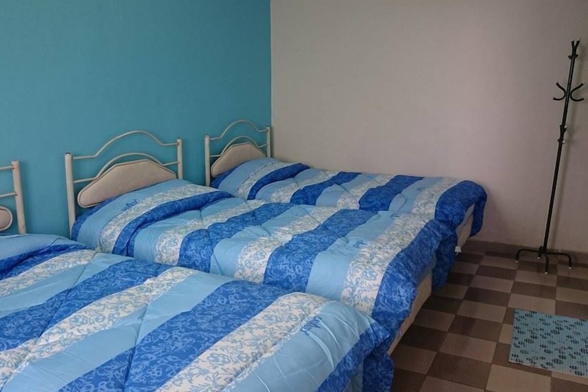 Triple Room, 3 Single Beds | Free WiFi