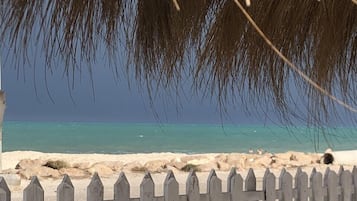 Playa en los alrededores y camastros