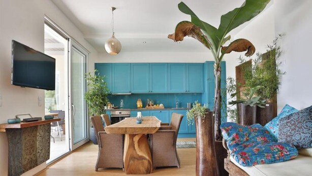 Un salon moderne avec une table à manger en bois, des meubles bleus et une grande plante.