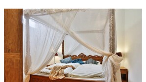Un lit à baldaquin en bois, avec un ciel de lit, une literie blanche et des coussins décoratifs.