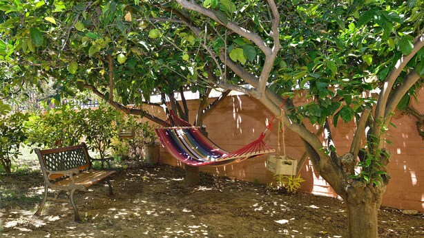 Taman